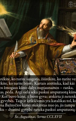 &Scaron;v. Augustinas, Sermo CCLXVII