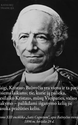 Leono XIII, &bdquo;Satis Cognitum&ldquo;, 1896 m.