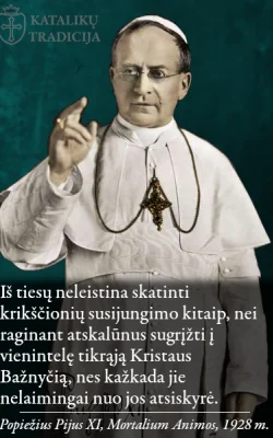 Pijus XI, &bdquo;Mortalium animos&ldquo;, 1928 m.