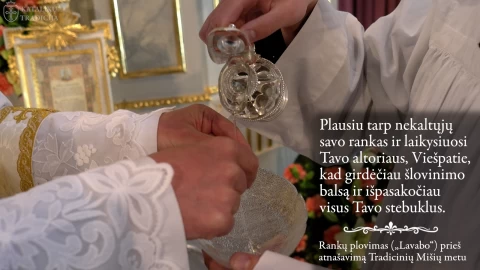 sventos misios lavabo