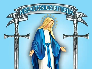 Nekaltosios riterija