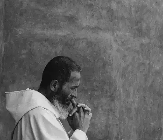 Vienuolis apmąstymuose