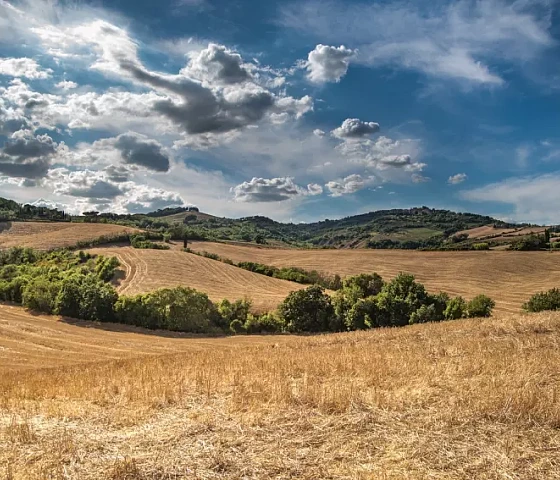 Laukai (Skitterphoto, pixabay.com)+