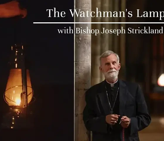 Kadras iš vyskupo Juozapo Striklando tinklalaidės „Sargo žibintas“