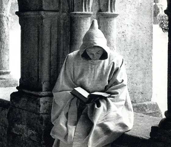 Vienuolis su knyga
