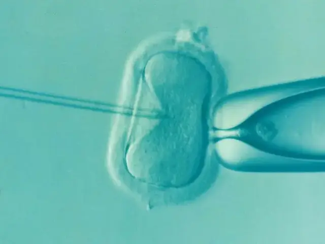 Vatican News ir Popiežiškoji Gyvybės akademija straipsnyje apie DI pavojus normalizuoja IVF