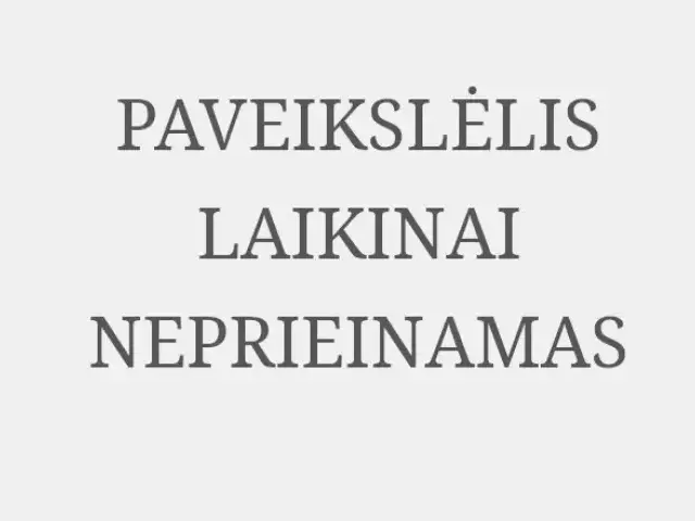 JAV mokykloje patvirtintas pradinių klasių moksleivių šėtono klubas po pamokų