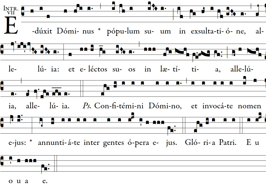  introitas